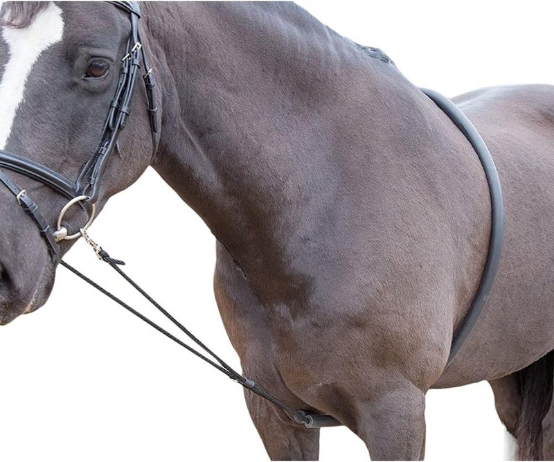 Shires Soft Lunging AID - Image 2
