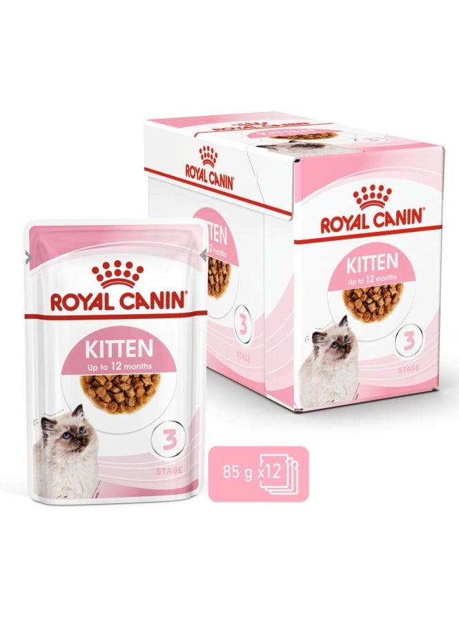 رويال كانين طعام القطط الرطب من شركة فيلين هيلث نيوتريشن للقطط - أكياس - Image 1