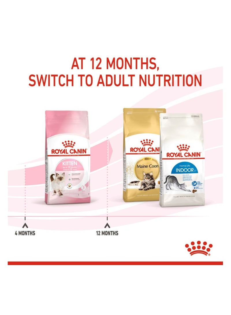 رويال كانين طعام القطط الرطب من شركة فيلين هيلث نيوتريشن للقطط - أكياس - Image 4