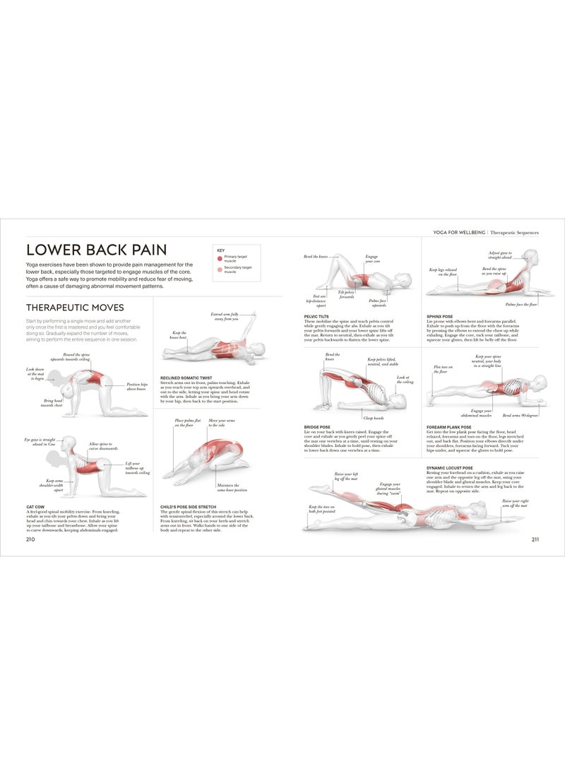 null - Science of Yoga - Image 1