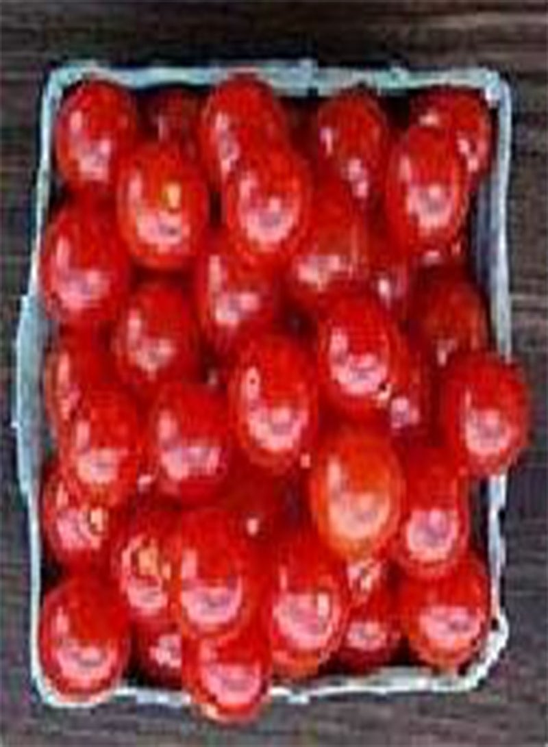GGOOT Tomato Matts Wild Cherry 100 Seeds