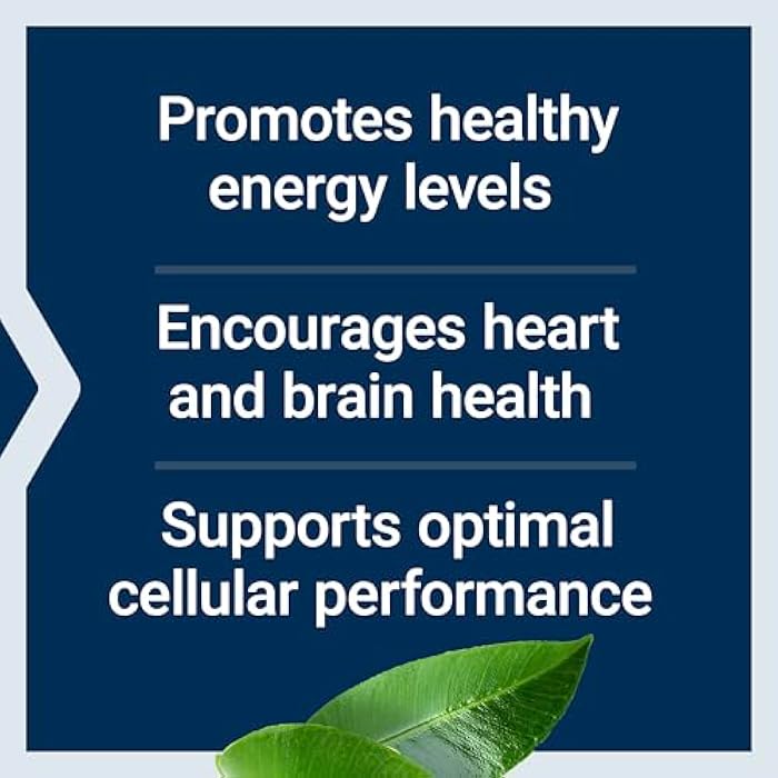 Life Extension L-Carnitine – 500 mg, Energy Supplement, Memory Supplement – Free Form Amino Acid, Nitric Oxide Support, Healthy Blood Pressure – Gluten-Free, Non-GMO, Vegetarian – 30 Capsules - Image 4