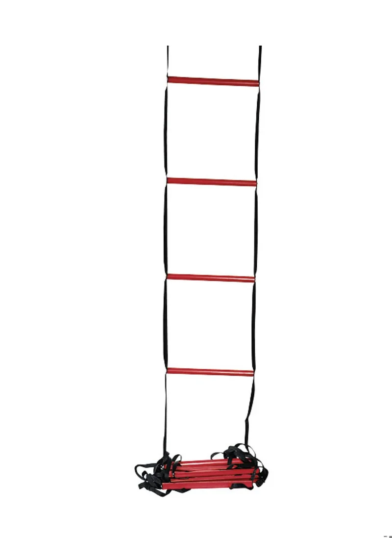 Coordination Traning Ladder