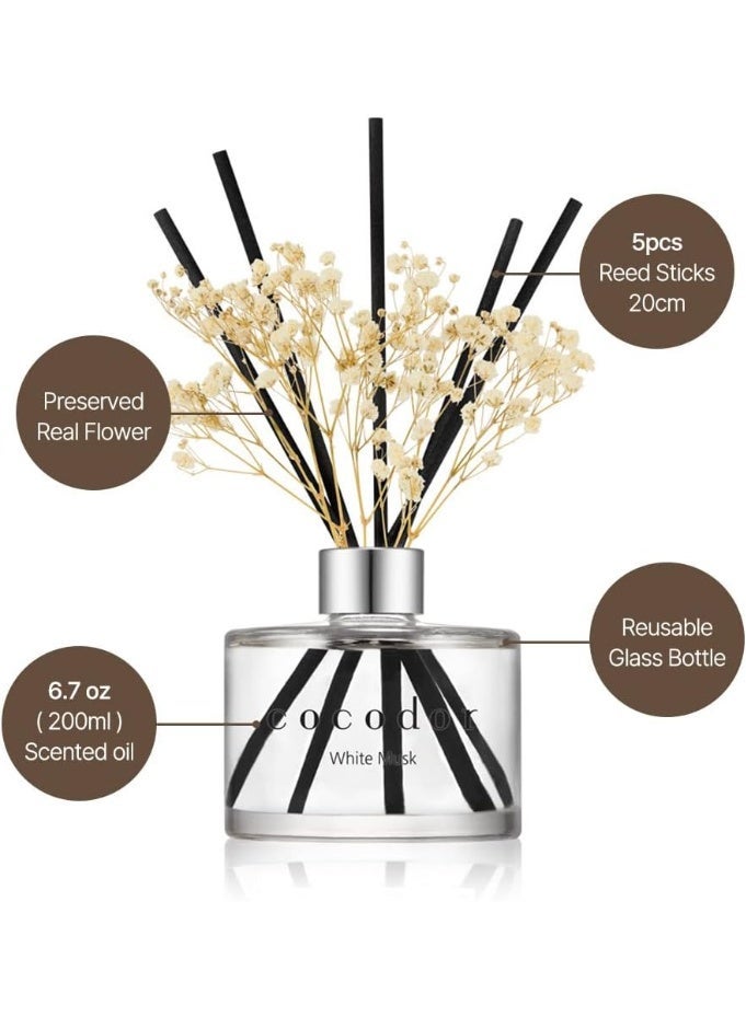 كوكودور مجموعة موزّع عطر بالعيدان من كوكودور / 6.7 أونصة موزّع عطر منزلي بعيدان مناسب لديكور رفوف الحمّام برائحة الفانيليا الداكنة وخشب الصندل - Image 3