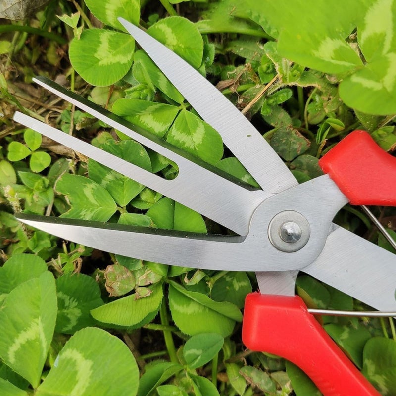 Pruning Shear and Thin Fruit Scissors for Garden and Orchard Use, 1pcs Agricultural Hand Tool for Precise Cutting of Fruits and Plants - Image 2