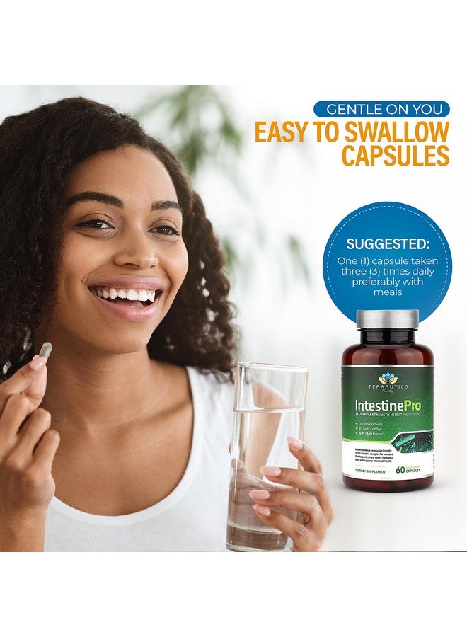 Teraputics IntestinePro Intestine Support for Humans with Non-GMO Wormwood, Black Walnut, Echinacea + 15 More Premium Ingredients, 60 Vegetarian Capsules - Image 4