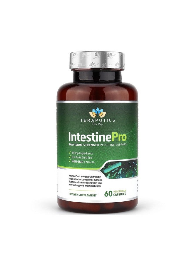 Teraputics IntestinePro Intestine Support for Humans with Non-GMO Wormwood, Black Walnut, Echinacea + 15 More Premium Ingredients, 60 Vegetarian Capsules - Image 1