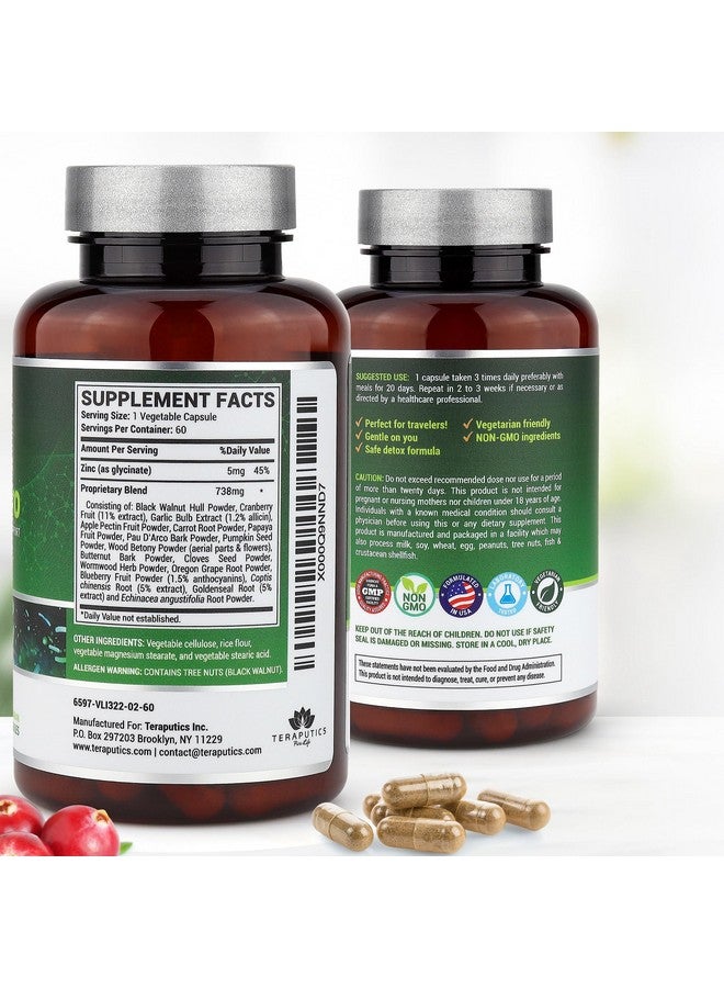 Teraputics IntestinePro Intestine Support for Humans with Non-GMO Wormwood, Black Walnut, Echinacea + 15 More Premium Ingredients, 60 Vegetarian Capsules - Image 3