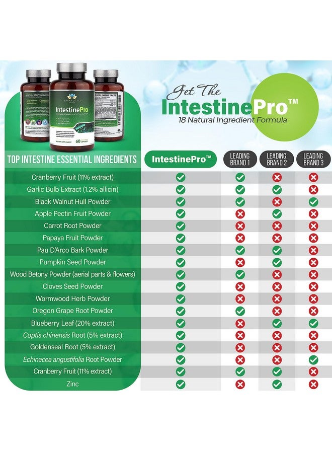 Teraputics IntestinePro Intestine Support for Humans with Non-GMO Wormwood, Black Walnut, Echinacea + 15 More Premium Ingredients, 60 Vegetarian Capsules - Image 2
