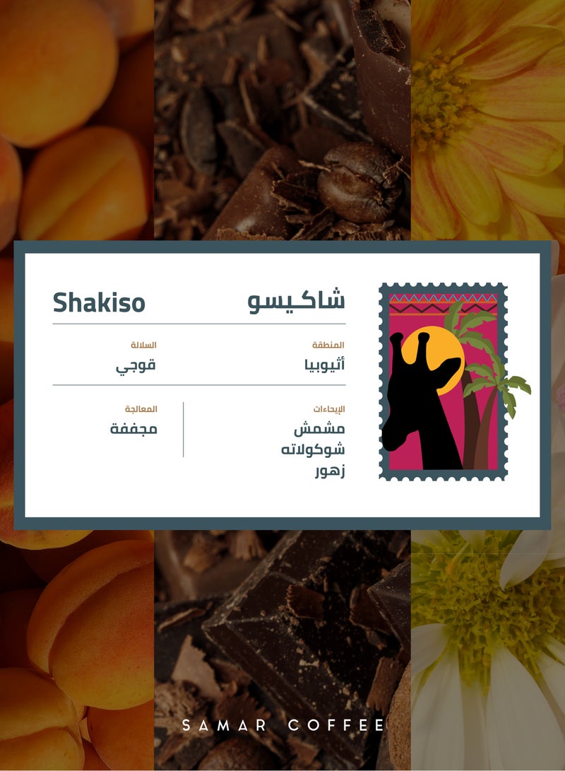 سامار اثيوبيا شاكيسو حبوب قهوة مختصة 1 كيلو - Image 2