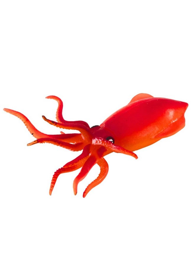 Amitasha Aquatic Animal Toy for Kids Realistic Squid Fish Squishy Figurines Rubber Sea Animal Soft Squeeze Toy for Boys Girls Lookalike Ocean Creatures Educational Gift - Image 1