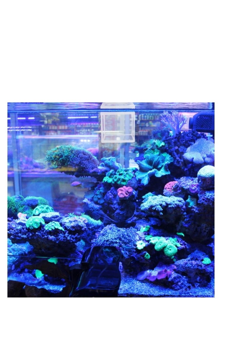 صندوق تربية الأسماك في حوض السمك - صندوق تربية الأسماك المصنوع من النايلون وصندوق تربية صغار الأسماك وشبكة فصل عائمة معزولة - Image 5