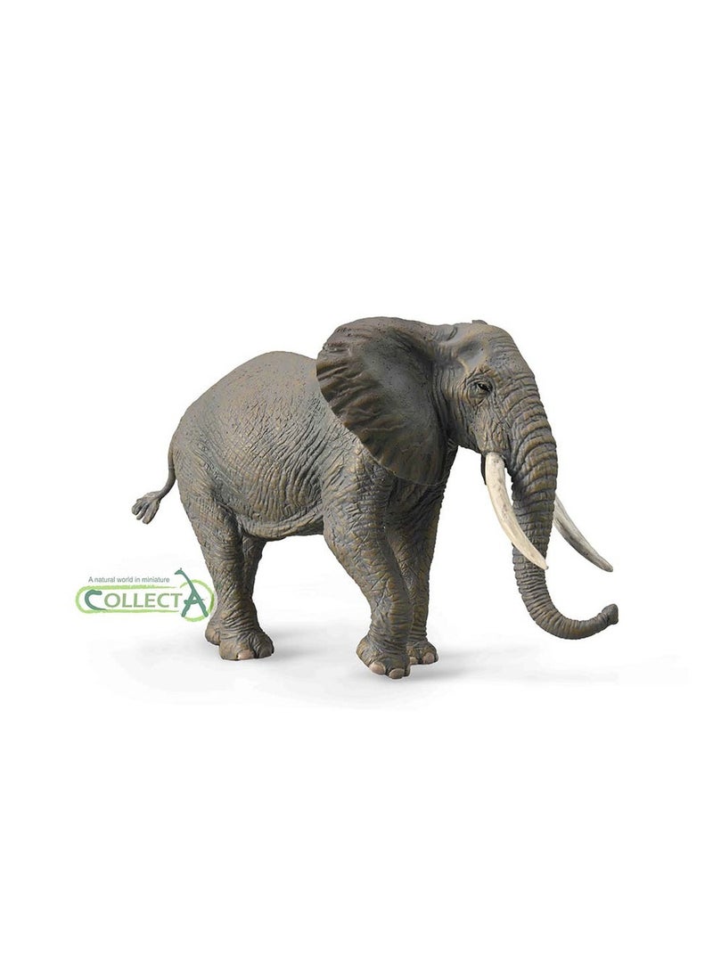 CollectA AFRICAN ELEPHANT