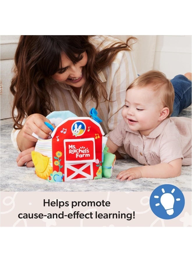 مس ريتشال السيدة راشيل مفاجأة التعلم صندوق راشيل مفاجأة الحسية التعلم مزرعة ألعاب من نسيج مخملي هو أفضل هدية للعائلة والأصدقاء - Image 2