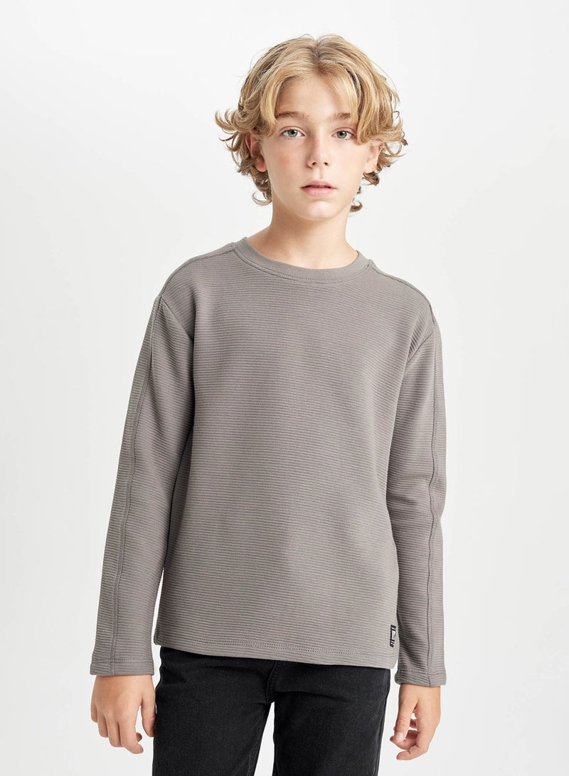 DeFacto Regular Fit Crew Neck Long Sleeve Basic Plain T-Shirt  - Image 1