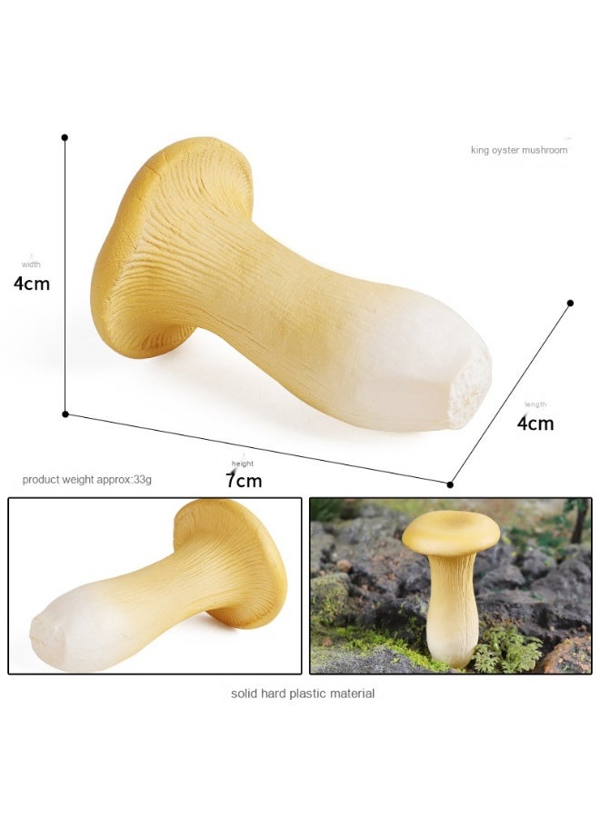 NIBEMINENT Fake Mushroom Model - Essential Educational Tool for Early Learning and Scene Photography