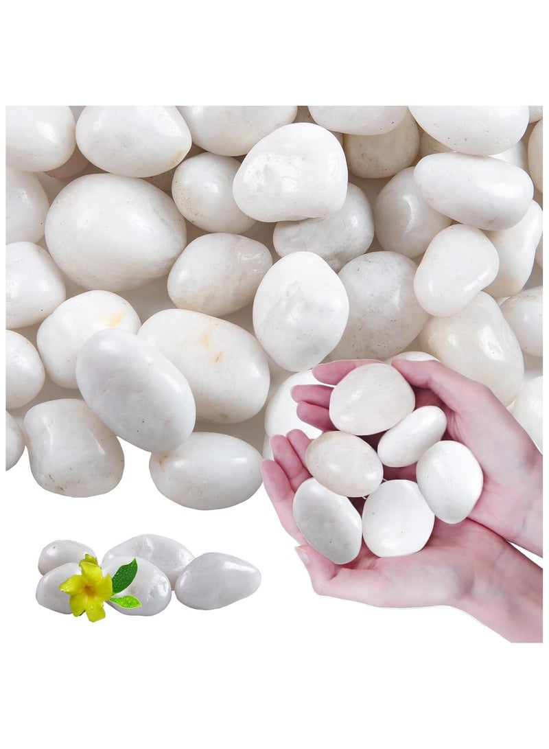 Home zone 20Ib (9 KG) White River Rocks for Landscaping- High Polished Pebbles for Plants-Garden Decorative Stones-1-2 inches Large Plant Rocks Ideal for Aquarium Home Décor  - Image 1