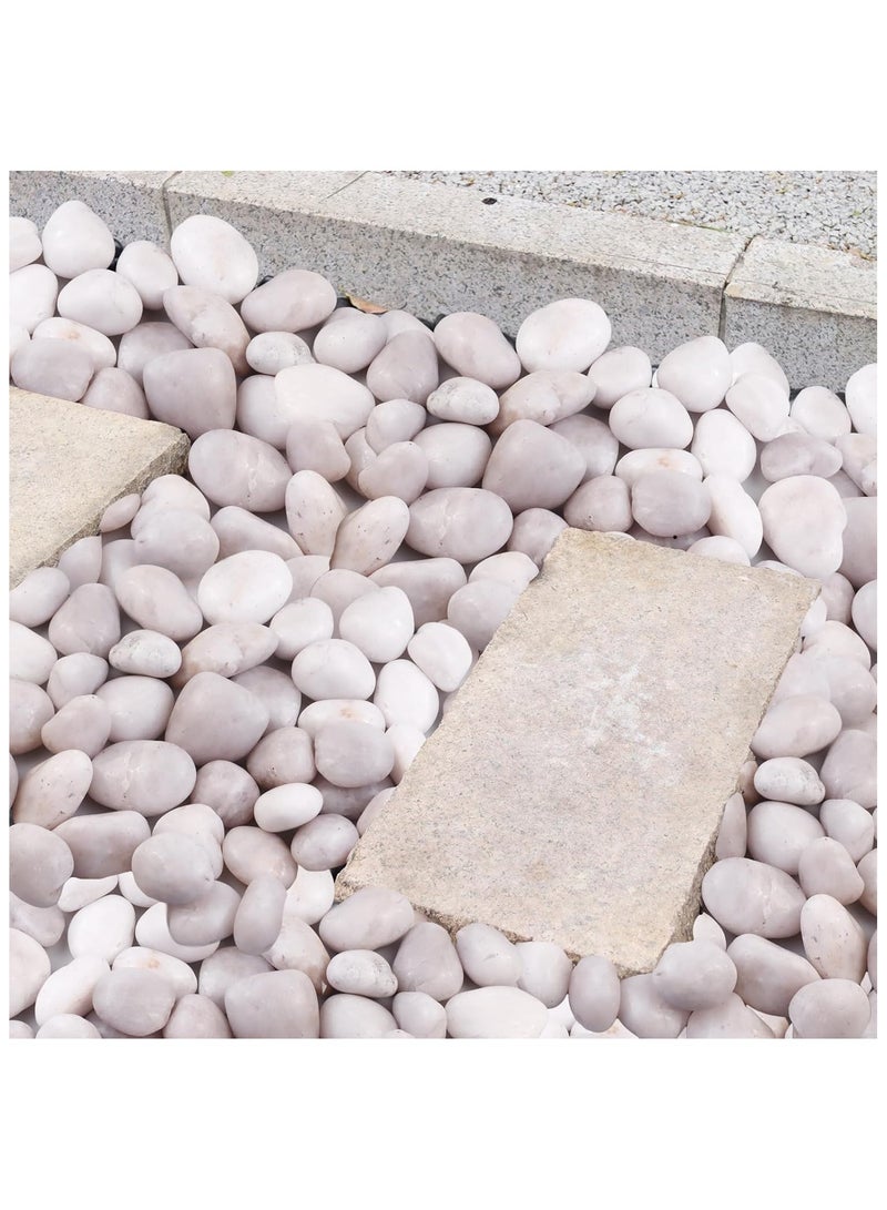 Home zone 20Ib (9 KG) White River Rocks for Landscaping- High Polished Pebbles for Plants-Garden Decorative Stones-1-2 inches Large Plant Rocks Ideal for Aquarium Home Décor  - Image 3