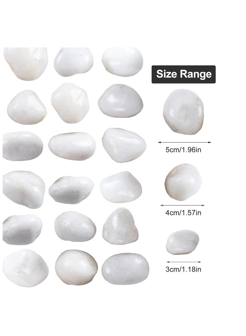 Home zone 20Ib (9 KG) White River Rocks for Landscaping- High Polished Pebbles for Plants-Garden Decorative Stones-1-2 inches Large Plant Rocks Ideal for Aquarium Home Décor  - Image 2