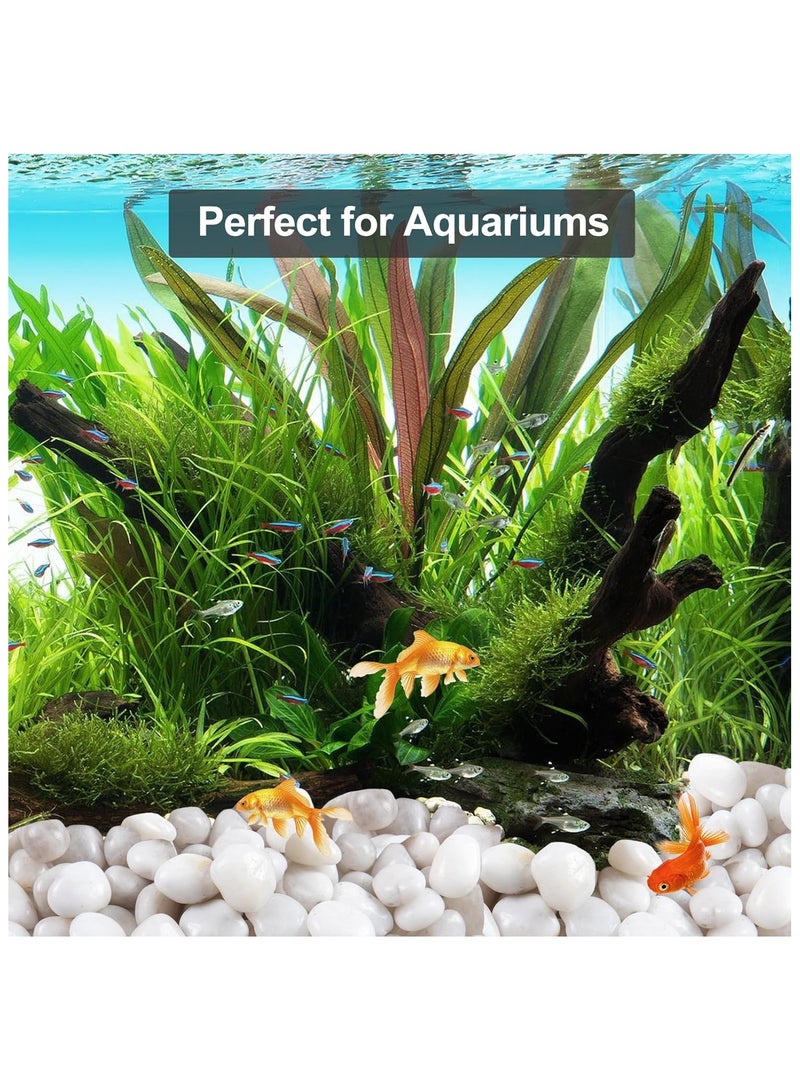 Home zone 20Ib (9 KG) White River Rocks for Landscaping- High Polished Pebbles for Plants-Garden Decorative Stones-1-2 inches Large Plant Rocks Ideal for Aquarium Home Décor  - Image 5
