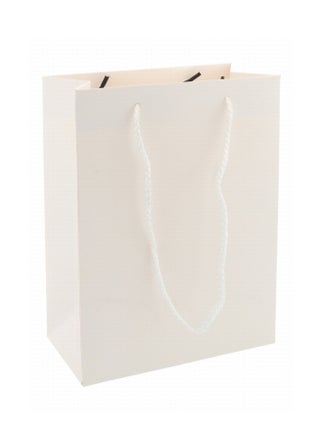 A4 Size Paper Gift Bag White - pzsku/Z97AD3B1134BC77D9E52DZ/45/_/1714765309/5e40aaa1-8f42-44d4-93ad-43da00f01e56
