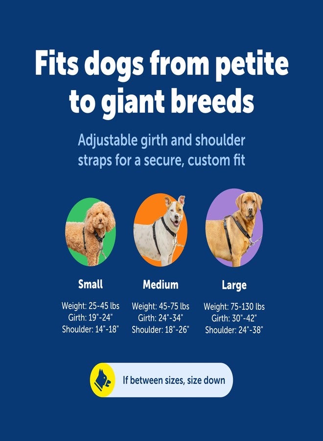 بيت سيف حزام PetSafe 3 في 1 مع مقود تحكم بنقطتين، حزام مانع للشد، صغير، أسود، قابل للتعديل - Image 5