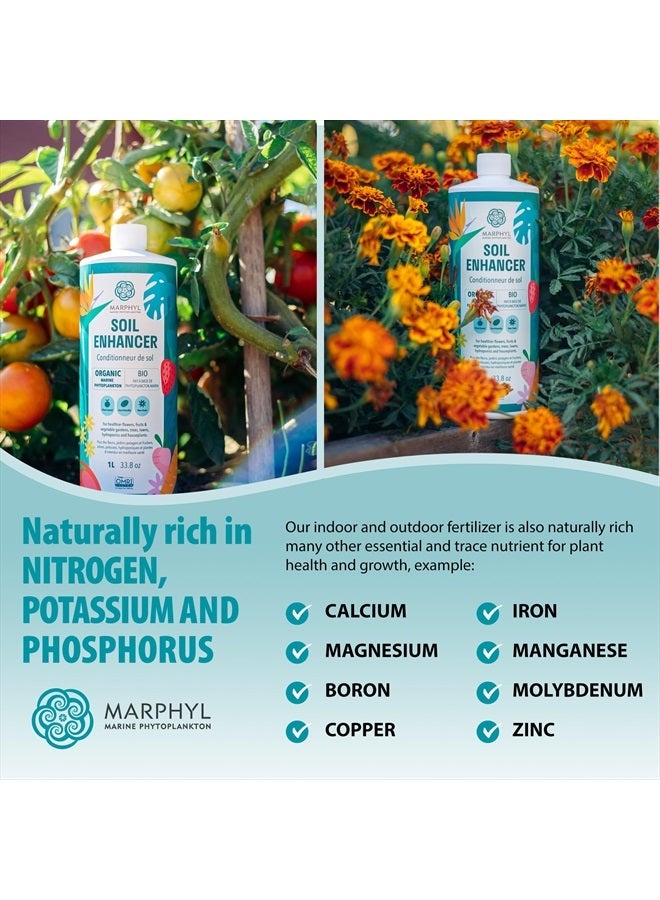 MARPHYL سماد سائل عضوي - غذاء نباتات داخلية وخارجية - سماد متعدد الأغراض وغني بالمغذيات للعشب ومحسن للتربة للنباتات المنزلية والزهور والخضروات والعصاريات والبانبو والزراعة المائية - Image 5