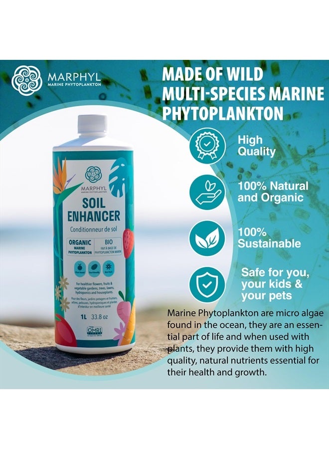 MARPHYL سماد سائل عضوي - غذاء نباتات داخلية وخارجية - سماد متعدد الأغراض وغني بالمغذيات للعشب ومحسن للتربة للنباتات المنزلية والزهور والخضروات والعصاريات والبانبو والزراعة المائية - Image 3