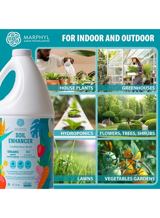 MARPHYL سماد سائل عضوي - غذاء نباتات داخلية وخارجية - سماد متعدد الأغراض وغني بالمغذيات للعشب ومحسن للتربة للنباتات المنزلية والزهور والخضروات والعصاريات والبانبو والزراعة المائية - Image 4