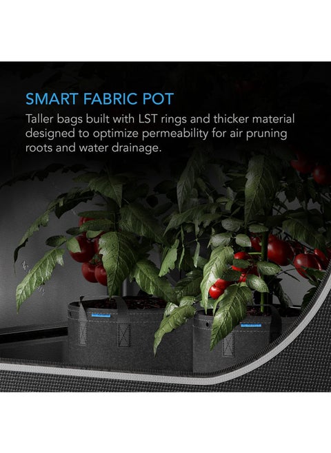 AC Infinity Heavy Duty Fabric Pots, 1 Gallon Aeration Reusable Grow Bags 5-Pack with 500G Thick Nonwoven Fabric and Multi-Purpose Rings, for Low Stress Plant Training Fruits, Vegetables, and Flowers