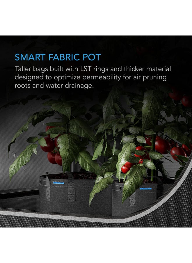 AC Infinity Heavy Duty Fabric Pots, 1 Gallon Aeration Reusable Grow Bags 5-Pack with 500G Thick Nonwoven Fabric and Multi-Purpose Rings, for Low Stress Plant Training Fruits, Vegetables, and Flowers