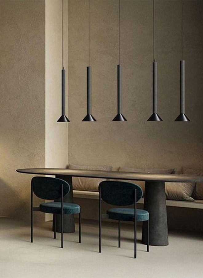 ٍSiera Light Black volume pendant lighting warm light 25 watt P0877