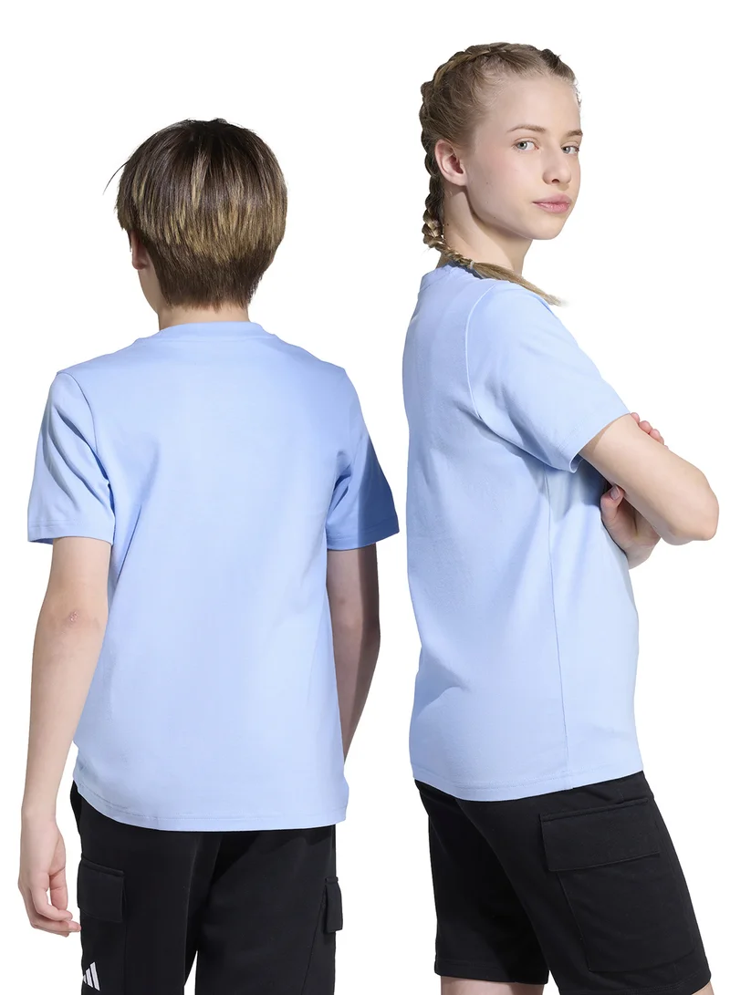 اديداس تيشيرت جرافيتي شبابي