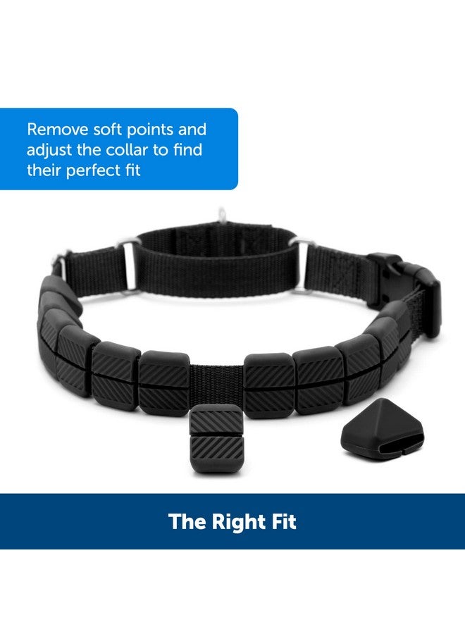 بيت سيف طوق تدريب PetSafe Soft Point - يساعد على إيقاف السحب - أكثر أمانًا من أطواق الشوكات أو الخنق - يعلم آداب المقود بشكل أفضل - طوق تدريب بدون سحب مع نقاط مطاطية للكلاب - متوسط، أسود - Image 4