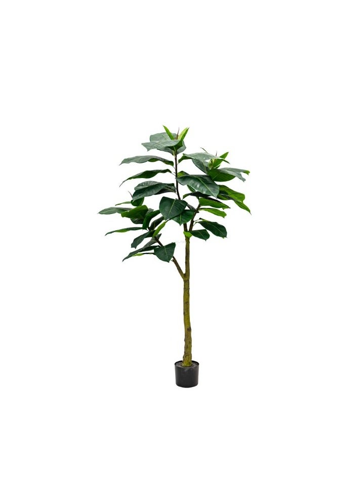 HRT WALL Artificial Ficus Elastica Abidjan 180cm - green 