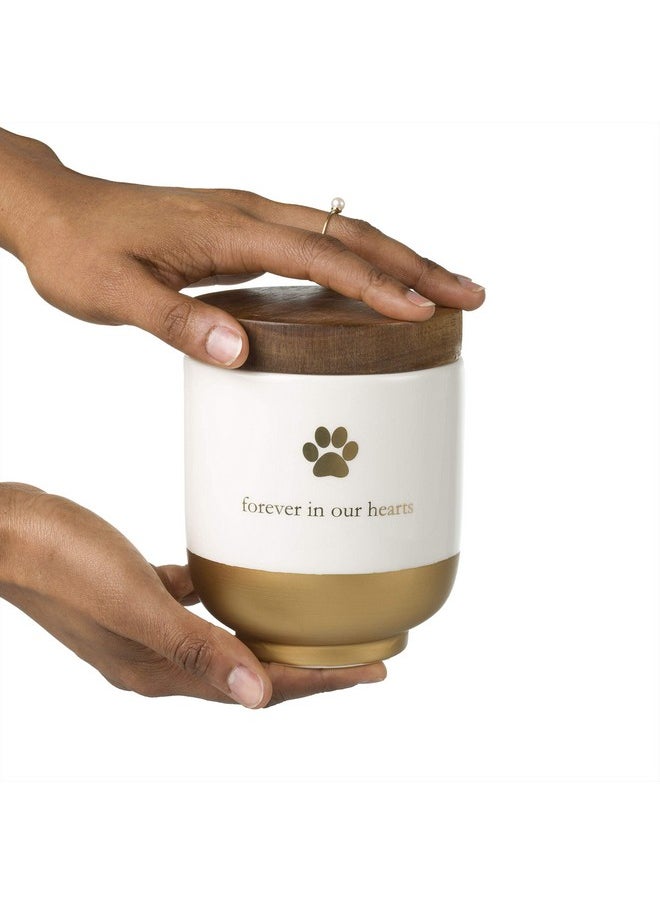 pearhead Pearhead Pet Ceramic Forever in Our Hearts Urn, Pet Memorial, Dog Or Cat Keepsake Urn, Rainbow Bridge, Gold  - Image 2