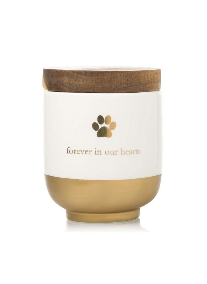 pearhead Pearhead Pet Ceramic Forever in Our Hearts Urn, Pet Memorial, Dog Or Cat Keepsake Urn, Rainbow Bridge, Gold  - Image 1