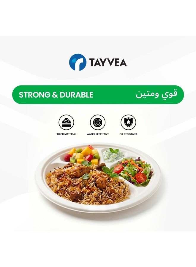 Tayvea 11" 4CP Bagasse Plates | 100% Compostable Sugarcane Plates | Microwaveable, Ovenable & Freezer Safe | Food-Grade Eco Disposable Plates | Pack of 25 - Image 2