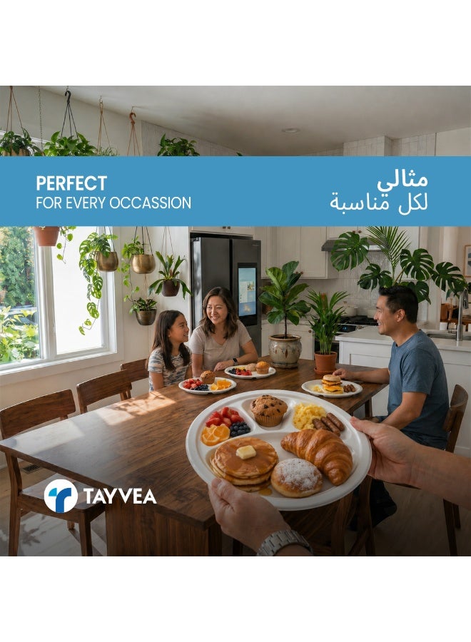 Tayvea 11" 4CP Bagasse Plates | 100% Compostable Sugarcane Plates | Microwaveable, Ovenable & Freezer Safe | Food-Grade Eco Disposable Plates | Pack of 25 - Image 4