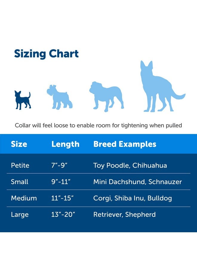 بيت سيف طوق مارتينجال للكلاب من بيت سيف مع مشبك سريع الإغلاق - صغير، 3/8 بوصة، بنفسجي غامق - Image 4