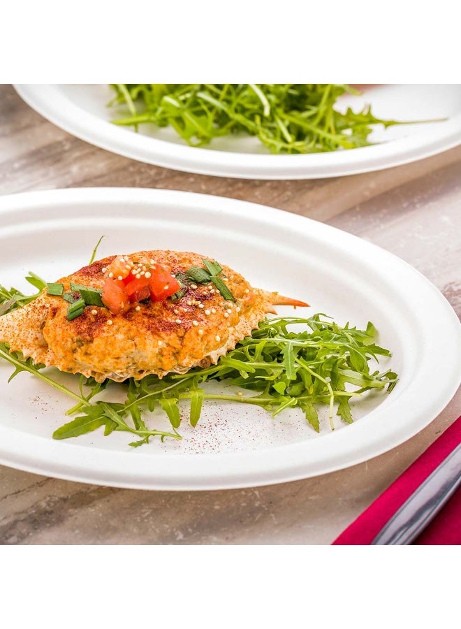 Restaurantware Pulp Tek 10.4 x 7.8 Inch Eco-Friendly Plates, 100 Medium Disposable Dinner Plates - Made From Sugarcane Fibers, Heavy-Duty, White Bagasse Premium Plates, Sturdy, Oval  - Image 3