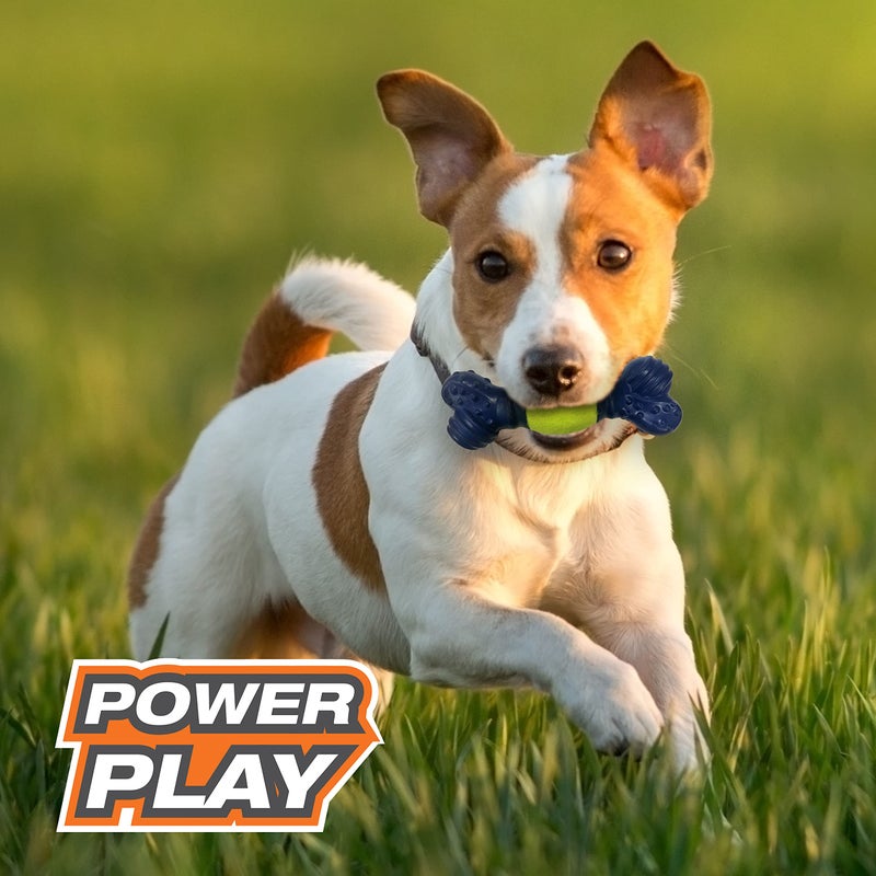 Nylabone Power Play Tennis Play 'n Fetch Interactive Dog Toy - Image 5