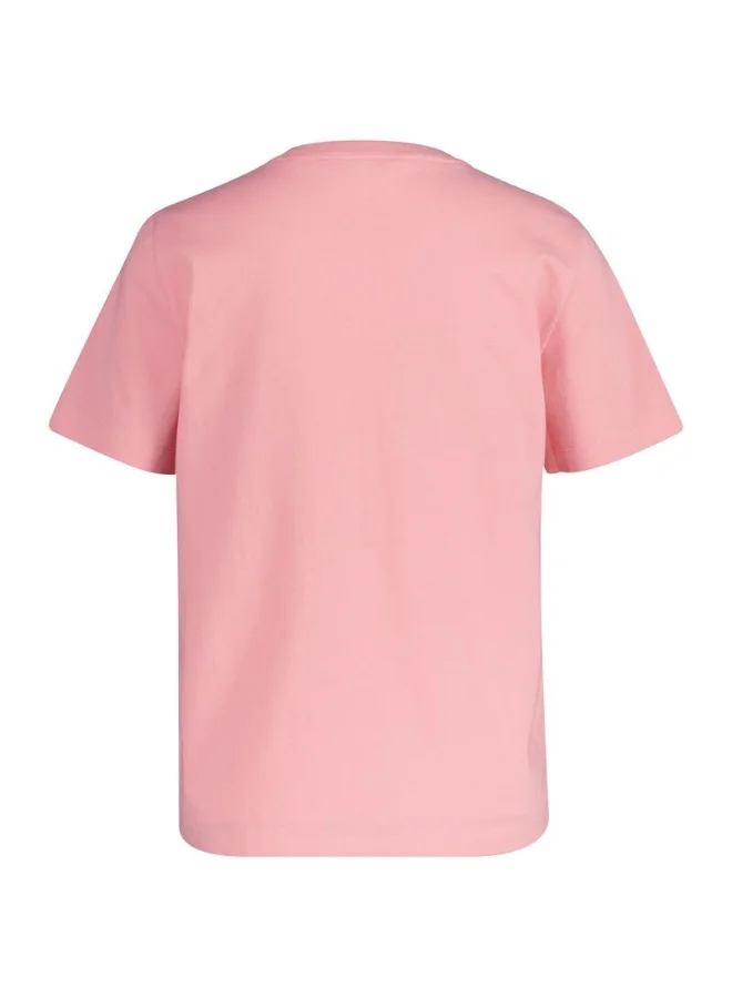 غانت Gant Regular Tonal Graphic Ss T-Shirt