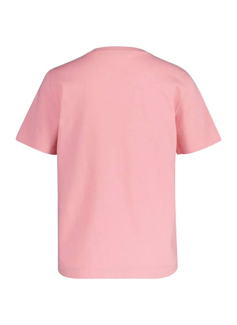 GANT Gant Regular Tonal Graphic Ss T-Shirt