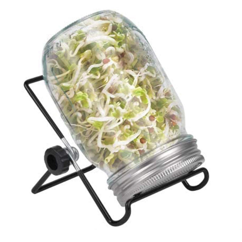 DOUBLE 2 C Sprouting Jar Kit, Wide Mouth Quart Mason Jars with Screen Sprout Lids & Stand, Seeds Germination Growing Kit, Seed Sprouter Set for Growing Organic Broccoli Alfalfa Mung Microgreens Bean (1Pack) - Image 1