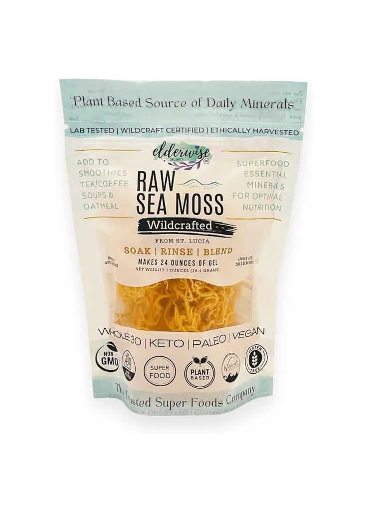 Elderwise Organics Made With Love Sea Moss | Makes 20oz of Gel | WILDCRAFTED | Raw + Non GMO | Sundried | Mineral Rich | Golden - Image 1