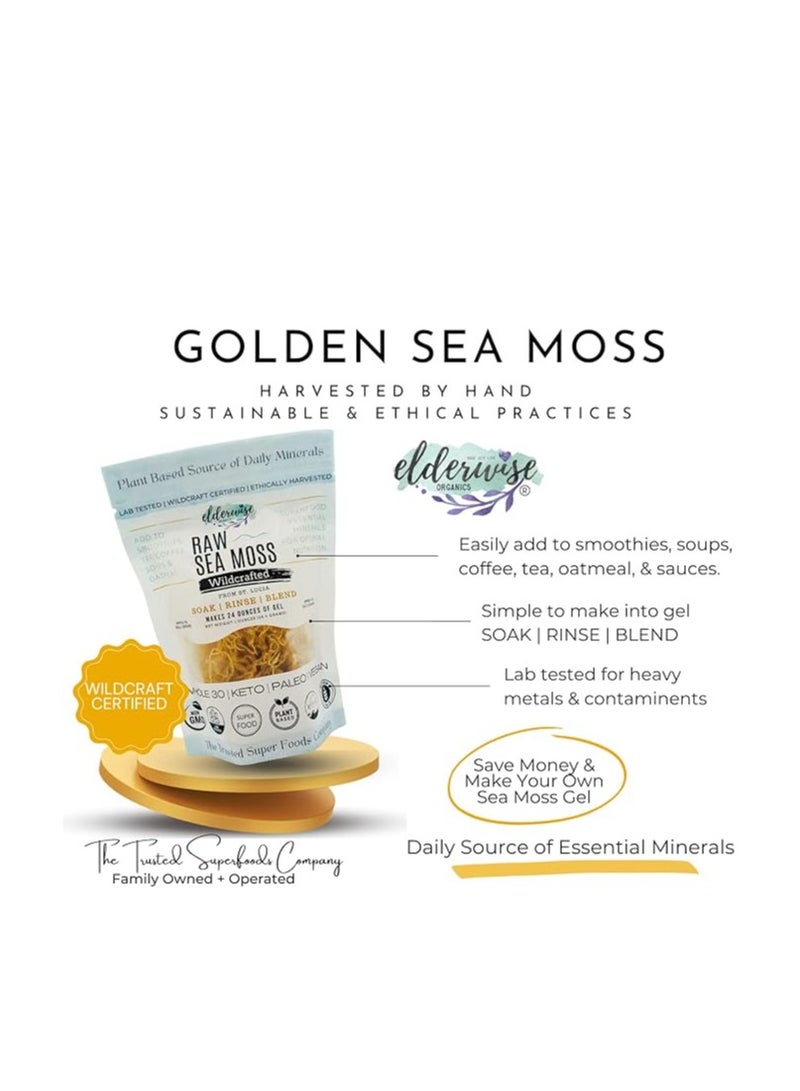 Elderwise Organics Made With Love Sea Moss | Makes 20oz of Gel | WILDCRAFTED | Raw + Non GMO | Sundried | Mineral Rich | Golden - Image 2