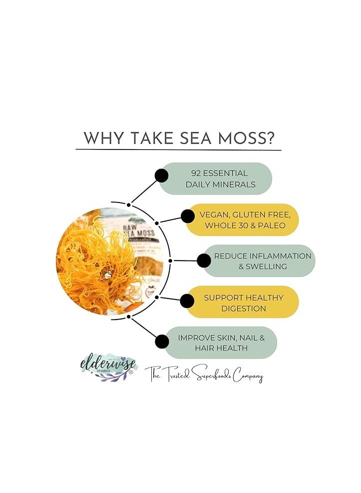 Elderwise Organics Made With Love Sea Moss | Makes 20oz of Gel | WILDCRAFTED | Raw + Non GMO | Sundried | Mineral Rich | Golden - Image 3