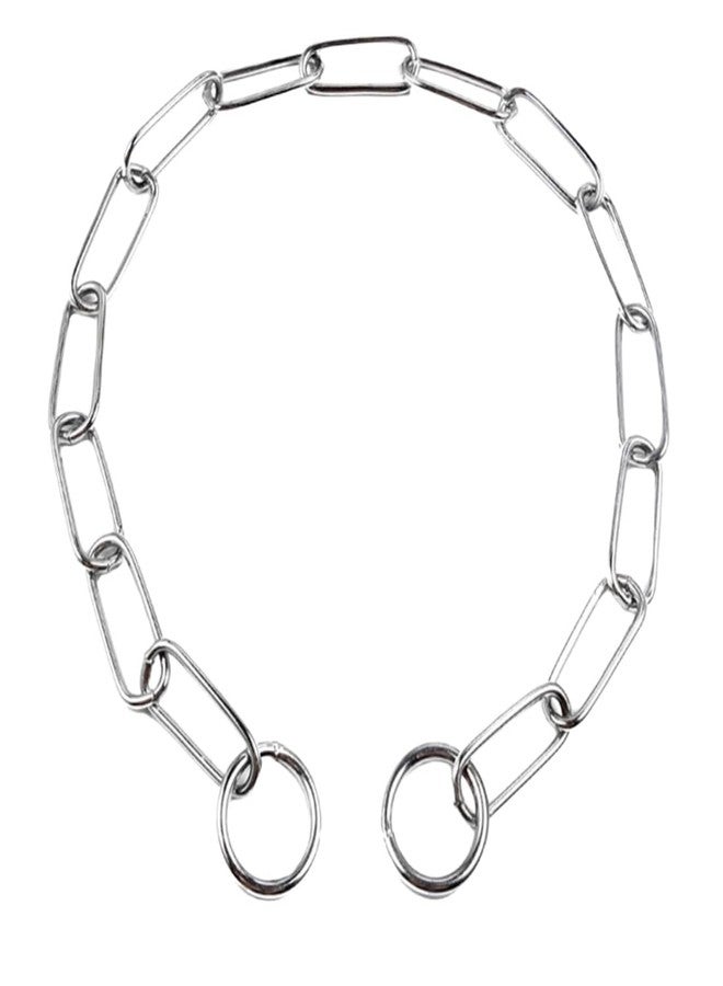 TELEYI Silver Choker Collar for Dogs,Metal Slip P Chain Martingale Choke Dog Collar Heavy Duty Training Collar Boys Girls Puppy Collars for Small Medium Large Big Breed Pet Dogs,L - Image 1