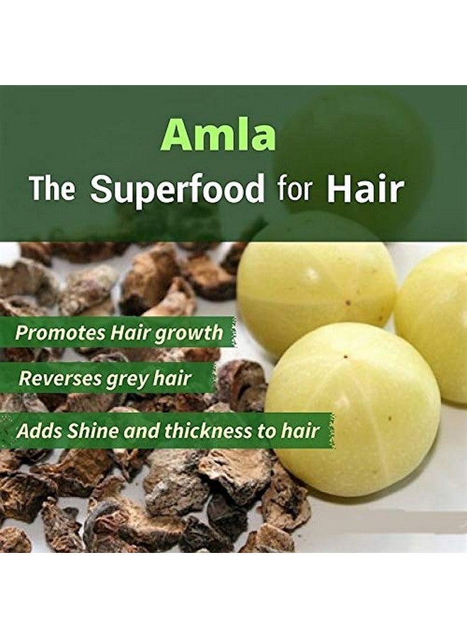 Organic Herbs أعشاب عضوية مجففة من الأملا (التوت الهندي) 1000 جرام - Image 3